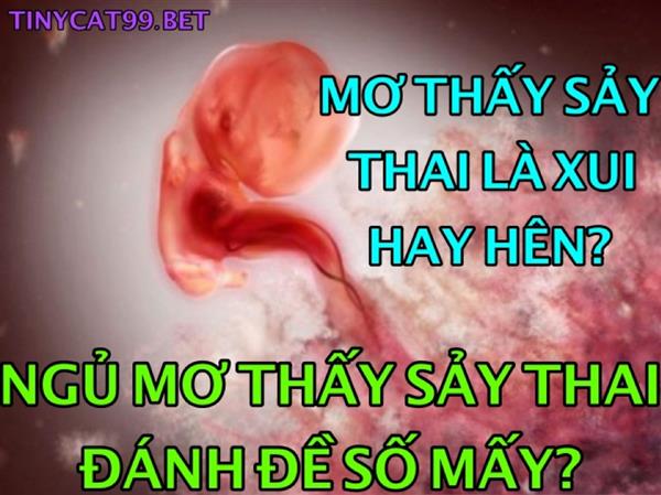 Nằm Mơ Thấy Sảy Thai Đánh Con Gì? Ý Nghĩa Giấc Mơ Sảy Thai