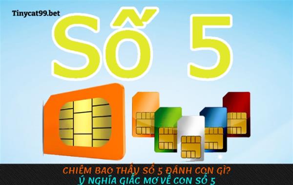 Chiêm Bao Thấy Số 5 Đánh Con Gì? Ý Nghĩa Giấc Mơ Về Con Số 5