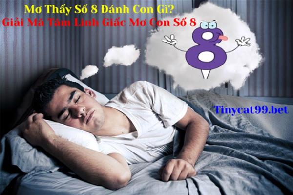 Mơ Thấy Số 8 Đánh Con Gì? Giải Mã Tâm Linh Giấc Mơ Con Số 8