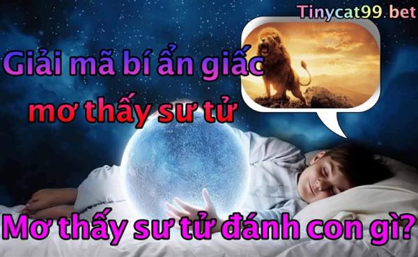 Nằm Mơ Thấy Sư Tử Đánh Con Gì? Ý Nghĩa Mơ Thấy Sư Tử?