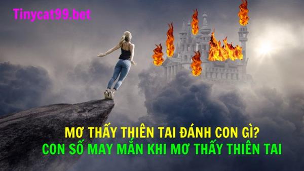 Mơ Thấy Thiên Tai Đánh Con Gì? Con Số May Mắn Khi Mơ Thấy Thiên Tai