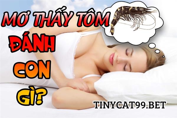 Nằm Mơ Thấy Con Tôm Đánh Số Gì? Giải Mã Giấc Mơ Thấy Tôm