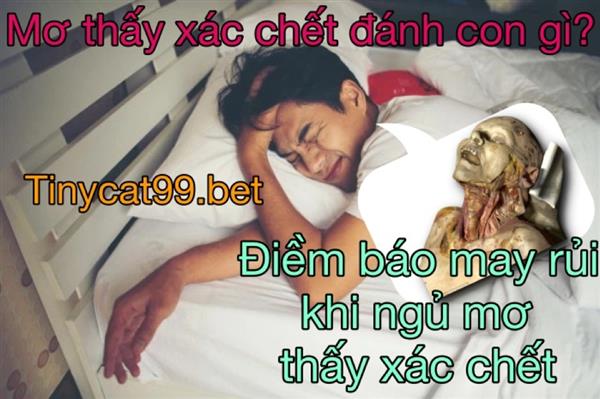 Nằm Mơ Thấy Xác Chết Đánh Đề Con Số Gì? Điềm Tốt Hay Xấu