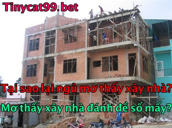 Mơ Thấy Xây Nhà Đánh Số Mấy Chuẩn Nhất? Điềm Báo May Rủi Khi Mơ Thấy Xây Nhà
