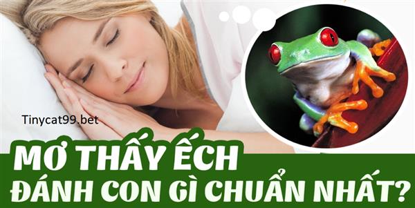 Mơ Thấy Ếch Đánh Con Gì? Con Ếch Số Mấy Theo Tài Vận