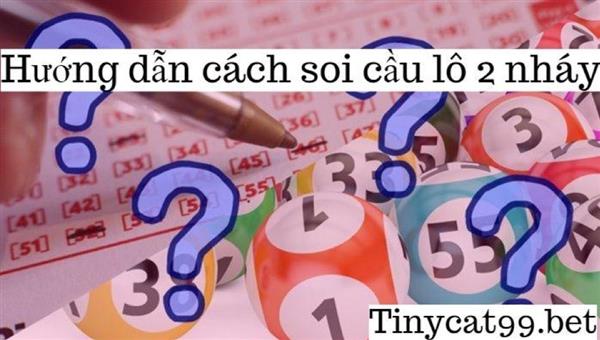 Cách Soi Cầu Lô 2 Nháy Ăn Chắc Chính Xác Chuẩn Nhất Vịnh Bắc Bộ