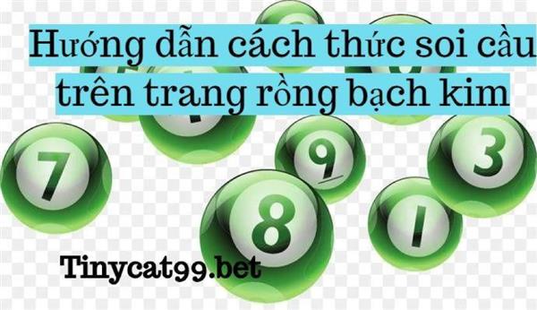 Hướng dẫn cách thức soi cầu trên trang rồng bạch kim