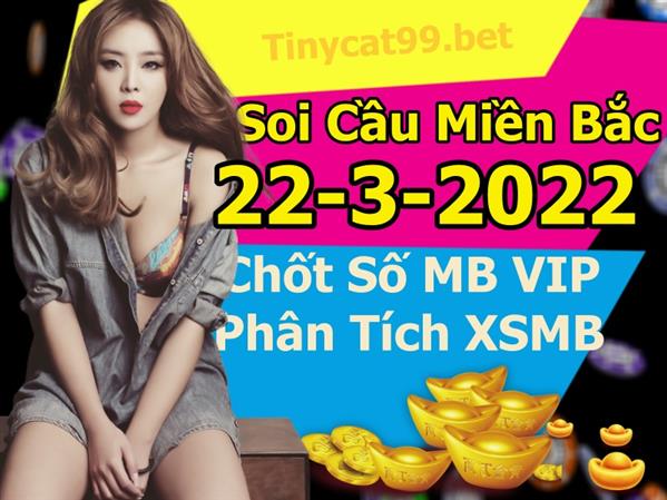 Soi Cầu XSMB 22-03-2022 Dự Đoán XSMB Chốt Số Miền Bắc VIP Thứ 3
