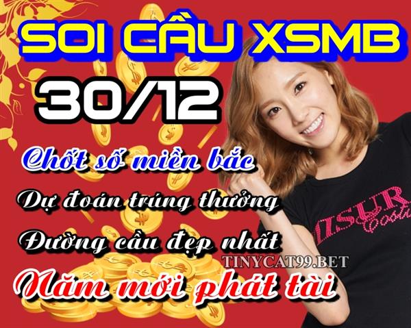 Soi Cầu XSMB 30-12-2020 Dự Đoán XSMB Chốt Số Miền Bắc VIP Thứ 4