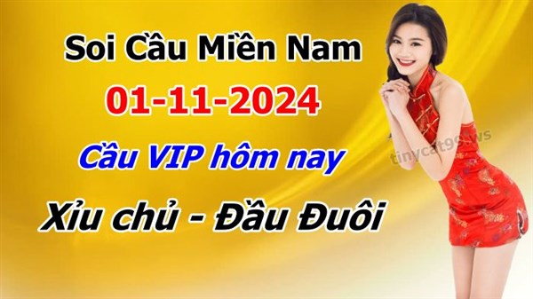 Dự Đoán Miền Nam 01-11-2024 Soi Cầu XSMN Chốt Số Bao Lô Thứ 6