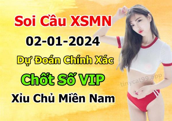 Soi Cầu XSMN 02-01-2024 Dự Đoán XSMN Chốt Số Miền Nam Thứ 3