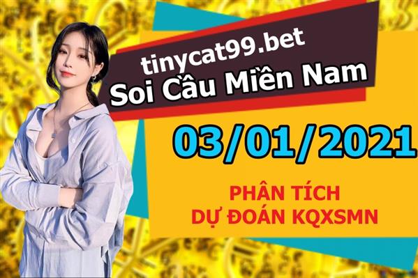 Soi Cầu XSMN 03-01-2021 Dự Đoán MN Chốt Số Miền Nam Chủ Nhật