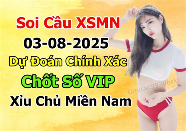 Soi Cầu XSMN 03-08-2025 Dự Đoán MN Chốt Số Miền Nam Chủ Nhật