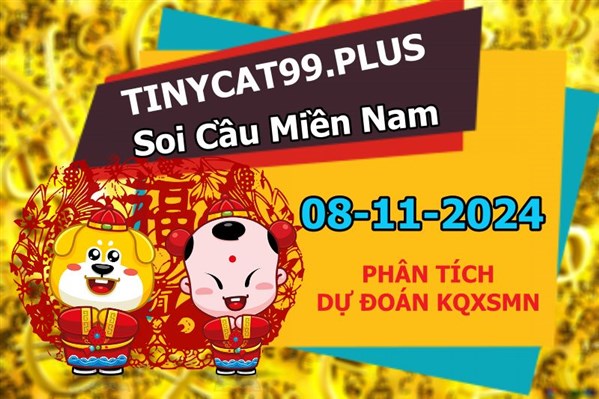 Dự Đoán Miền Nam 08-11-2024 Soi Cầu XSMN Chốt Số Bao Lô Thứ 6