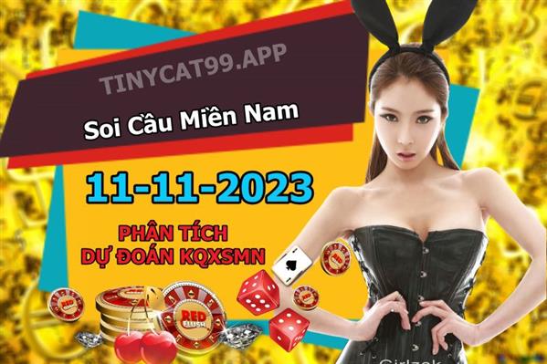 Dự Đoán MN 11-11-2023 Soi Cầu XSMN Chốt Số Miền Nam Thứ 7