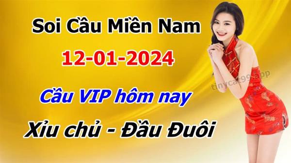Dự Đoán Miền Nam 12-01-2024 Soi Cầu XSMN Chốt Số Bao Lô Thứ 6