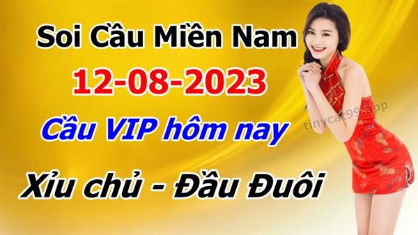 Dự Đoán MN 12-08-2023 Soi Cầu XSMN Chốt Số Miền Nam Thứ 7