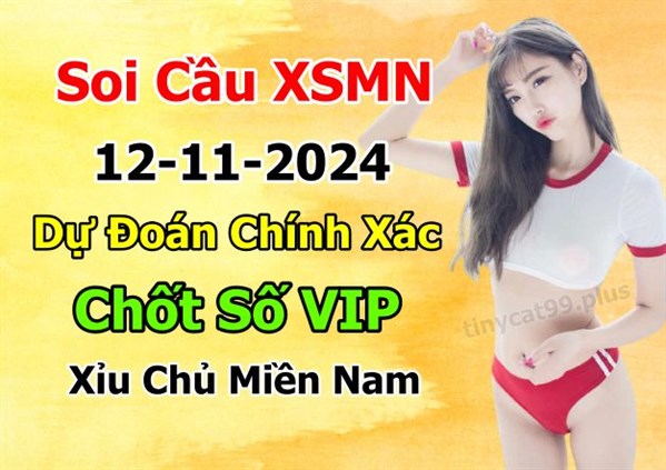 Soi Cầu XSMN 12-11-2024 Dự Đoán XSMN Chốt Số Miền Nam Thứ 3