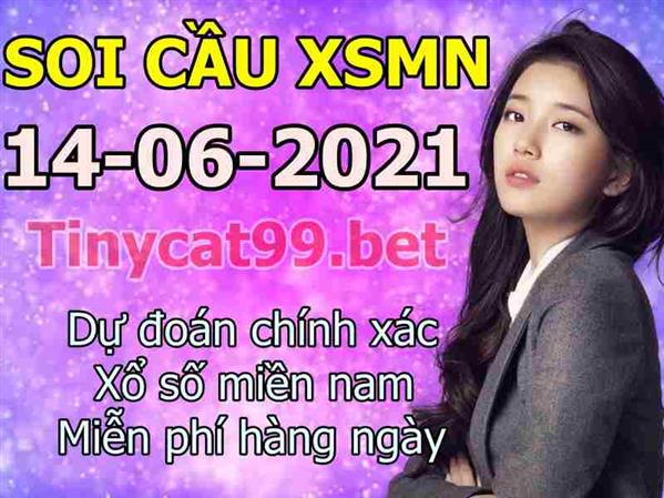 Soi Cầu XSMN 14-06-2021 Dự Đoán XSMN Chốt Số Miền Nam VIP Thứ 2