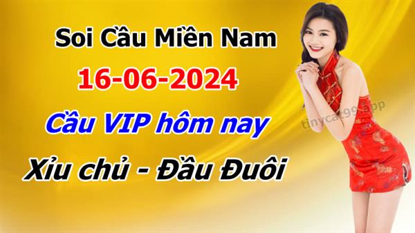 Soi Cầu XSMN 16-06-2024 Dự Đoán MN Chốt Số Miền Nam Chủ Nhật