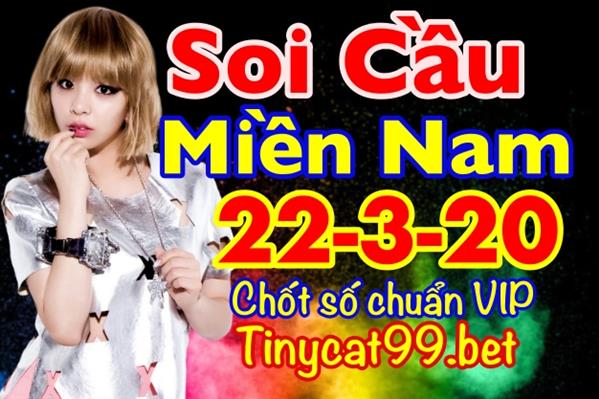 Soi Cầu XSMN 22-3-2020 Dự Đoán Xỉu Chủ Chính Xác Đưa Anh Em Vào Bờ Chủ Nhật