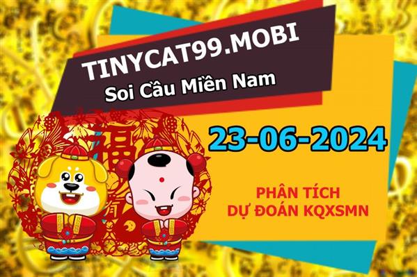 Soi Cầu XSMN 23-06-2024 Dự Đoán MN Chốt Số Miền Nam Chủ Nhật