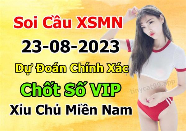 Dự Đoán XSMN 23-08-2023 Soi Cầu XSMN Chốt Số Miền Nam Thứ 4