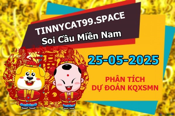 Soi Cầu XSMN 25-05-2025 Dự Đoán MN Chốt Số Miền Nam Chủ Nhật