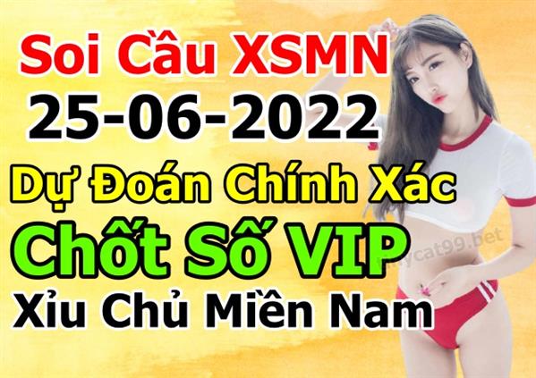 Dự Đoán MN 25-06-2022 Soi Cầu XSMN Chốt Số Miền Nam Thứ 7