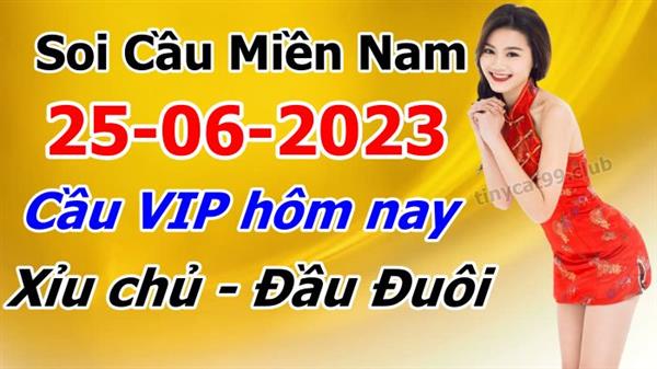 Soi Cầu XSMN 25-06-2023 Dự Đoán MN Chốt Số Miền Nam Chủ Nhật