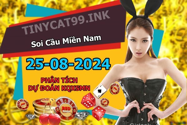 Soi Cầu XSMN 25-08-2024 Dự Đoán MN Chốt Số Miền Nam Chủ Nhật