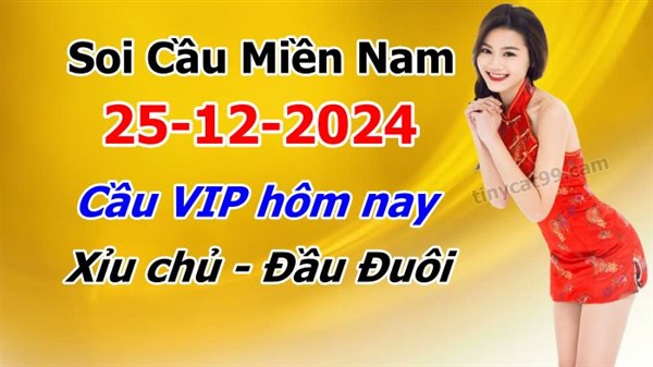 Dự Đoán XSMN 25-12-2024 Soi Cầu XSMN Chốt Số Miền Nam Thứ 4
