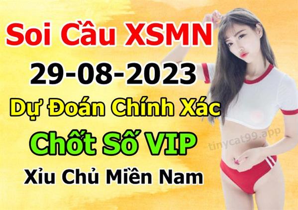 Soi Cầu XSMN 29-08-2023 Dự Đoán XSMN Chốt Số Miền Nam Thứ 3
