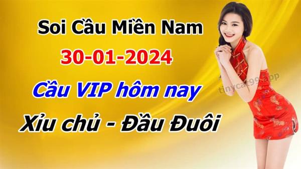 Soi Cầu XSMN 30-01-2024 Dự Đoán XSMN Chốt Số Miền Nam Thứ 3