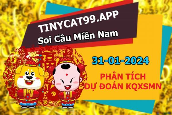 Dự Đoán XSMN 31-01-2024 Soi Cầu XSMN Chốt Số Miền Nam Thứ 4