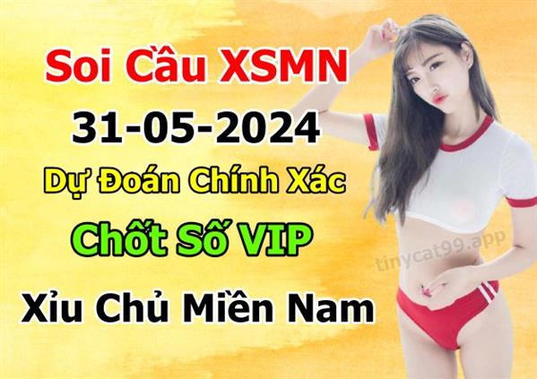 Dự Đoán Miền Nam 31-05-2024 Soi Cầu XSMN Chốt Số Bao Lô Thứ 6