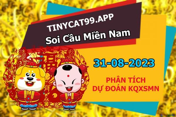 Dự Đoán XSMN 31-08-2023 Soi Cầu XSMN Chốt Số Miền Nam Bao Lô Thứ 5