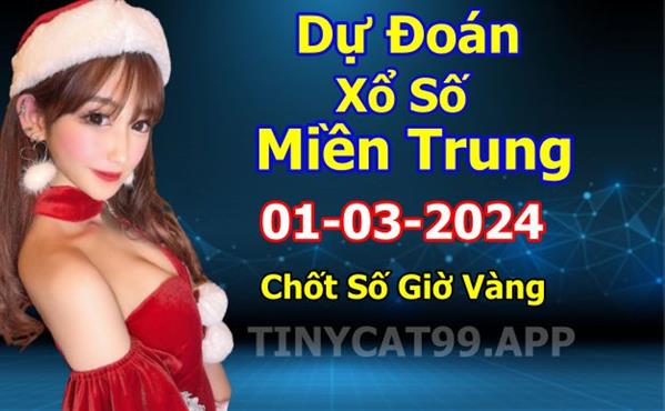 Soi Cầu XSMT 01-03-2024 Dự Đoán XSMT Miền Trung Chốt Số BTL VIP MT Thứ 6
