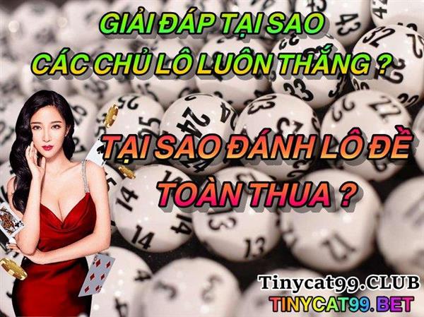 GIẢI ĐÁP TẠI SAO CÁC CHỦ LÔ LUÔN THẮNG? TẠI SAO ĐÁNH LÔ ĐỀ TOÀN THUA?