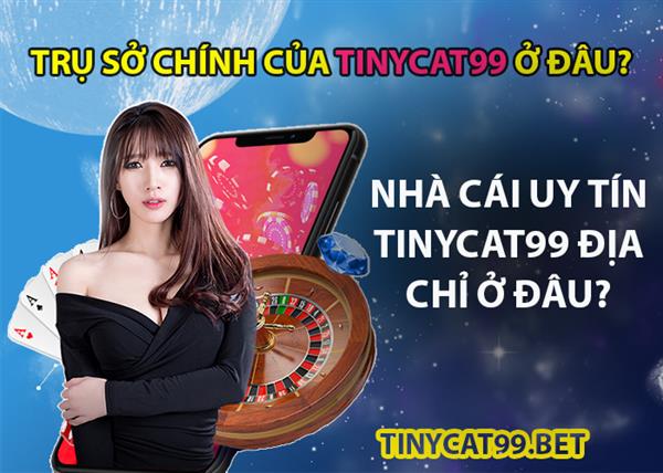 Trụ Sở Chính Của Tinycat99 Ở Đâu? Địa Chỉ Nhà Cái Tinycat999
