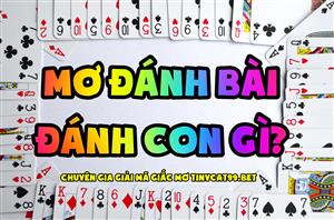 Mơ Thấy Đánh Bài Đánh Số Mấy? Tại Sao Lại Mơ Thấy Đánh Bài? 