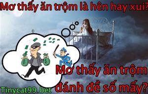 Nằm Mơ Thấy Ăn Trộm Đánh Con Gì? Giải Mã Bí Ẩn Khi Ngủ Mơ Thấy Ăn Trộm
