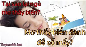 Nằm Mơ Thấy Biển Là Điềm Báo Gì? Mơ Thấy Biển Đánh Số Mấy Đúng Nhất