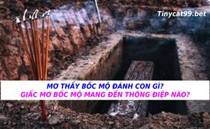 Mơ Thấy Bốc Mộ Đánh Con Gì? Giấc Mơ Bốc Mộ Mang Đến Thông Điệp Nào?