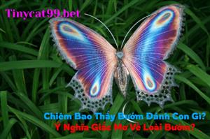 Chiêm Bao Thấy Bướm Đánh Con Gì? Ý Nghĩa Giấc Mơ Về Loài Bướm?