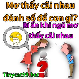 Mơ Thấy Cãi Nhau Đánh Đề Số Nào? Ý Nghĩa Khi Ngủ Mơ Thấy Cãi Nhau
