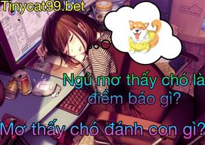 Nằm Mơ Thấy Chó Có Ý Nghĩa Gì? Con Số Nên Đánh Khi Mơ Thấy Chó?