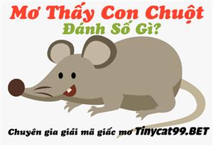 Mơ Thấy Chuột Là Điềm Lành Hay Dữ - Mơ Thấy Chuột Đánh Con Gì?
