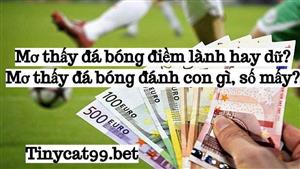 Giải Mã Giấc Mơ Thấy Đá Bóng Đánh Con Gì - Mơ Đá Banh Số Mấy