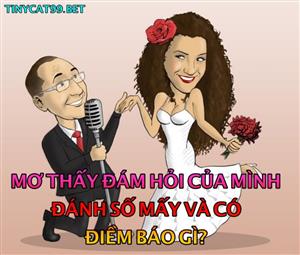 Nằm Mơ Thấy Đám Hỏi Của Mình Đánh Con Gì? Giải Mã Giấc Mơ Đám Hỏi